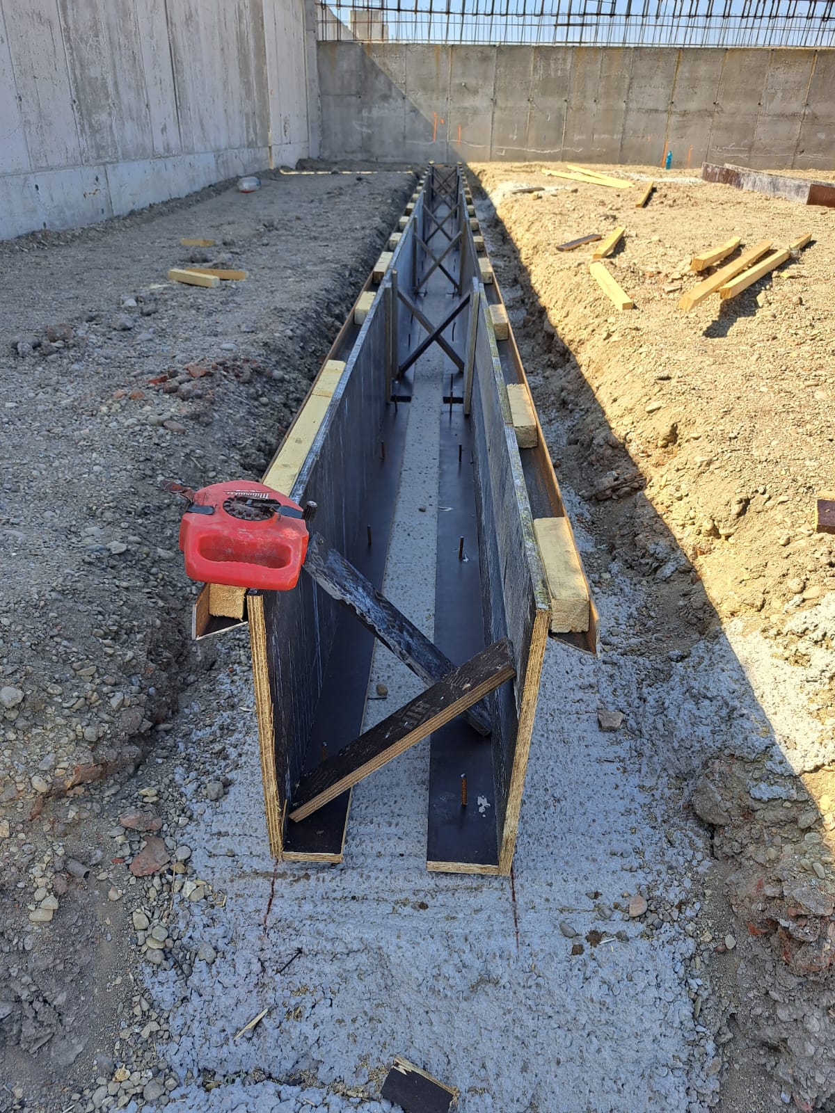 Project image