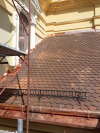 Project image
