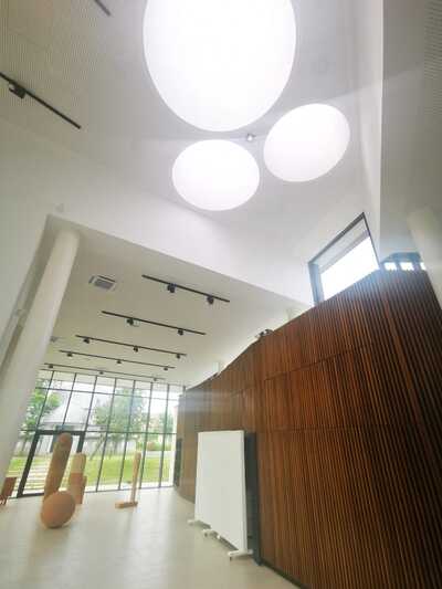 Project image
