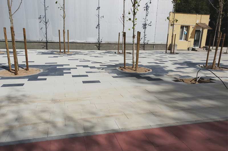 Project image