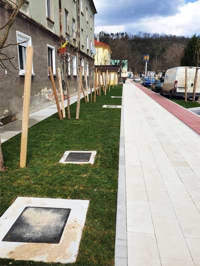 Project image